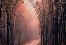 股票软件排行榜揭晓:券商股票行情-政策“组合拳”发力显效 A股正向循环链条已形成